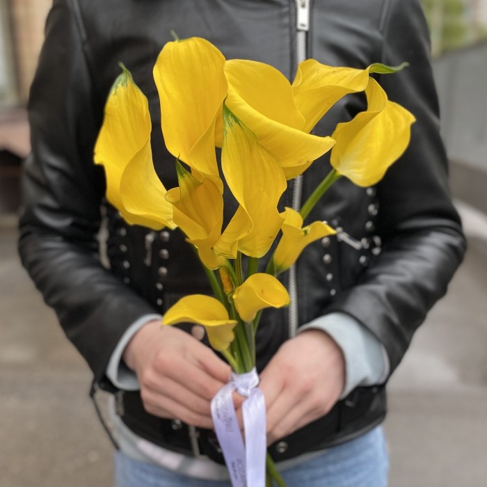 Калла желтая