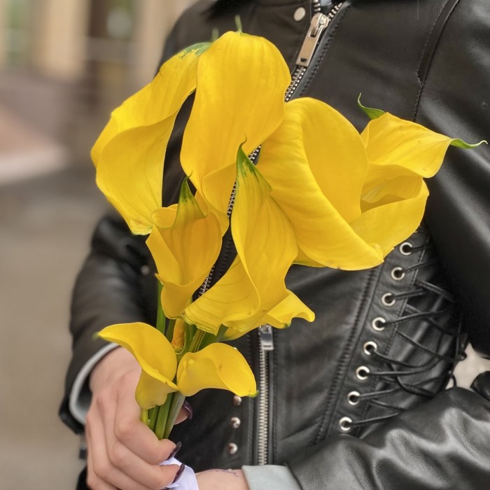 Калла желтая