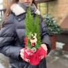 Кипарисовик со стикером в мешковине