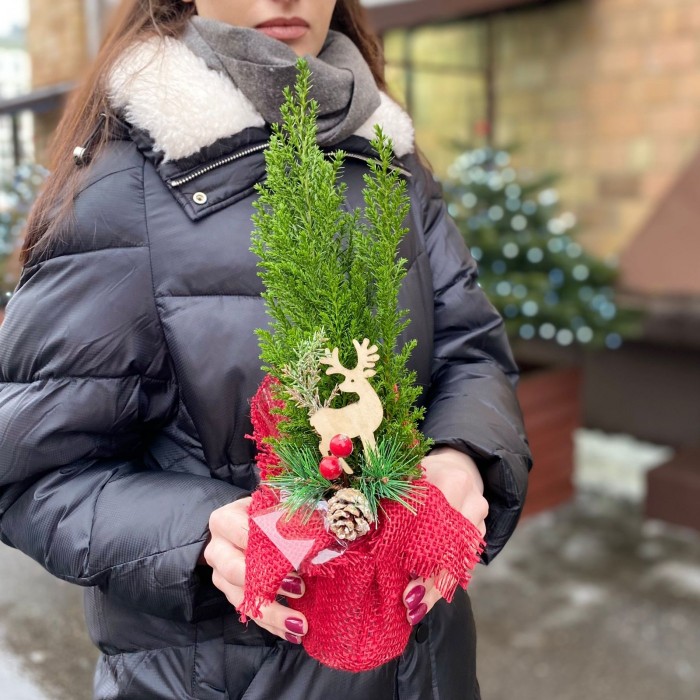 Кипарисовик со стикером в мешковине