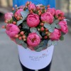 Композиция из 13 коралловых пионов с гиперикумом в коробке