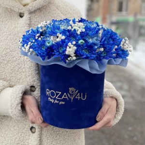 Композиция в коробке с синей хризантемой и гвоздикой