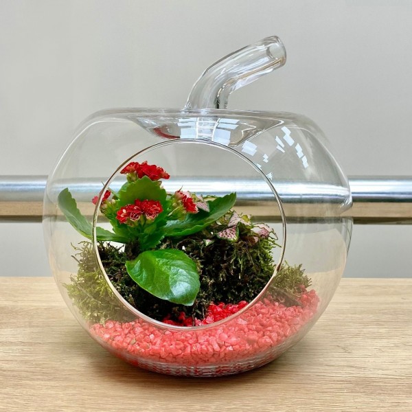 Композиция в стеклянном яблоке