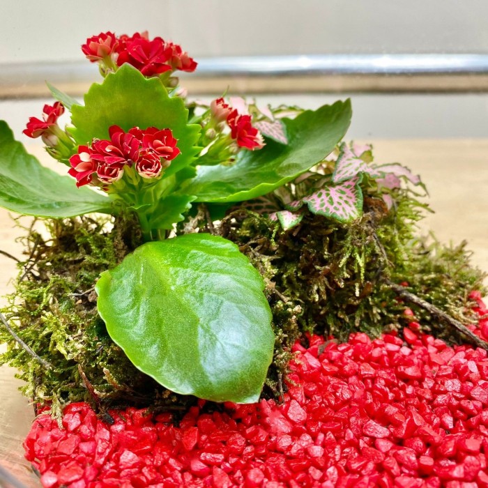 Композиция в стеклянном яблоке