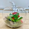 Композиция в стеклянном яблоке