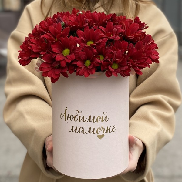 Коробка с бордовыми хризантемами Любимой Мамочке
