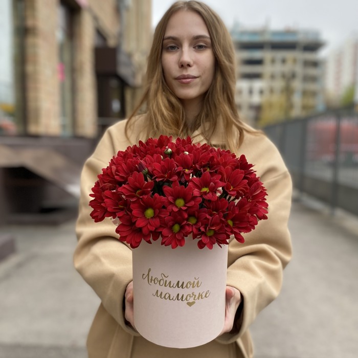 Коробка с бордовыми хризантемами Любимой Мамочке