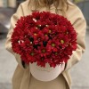 Коробка с бордовыми хризантемами Любимой Мамочке
