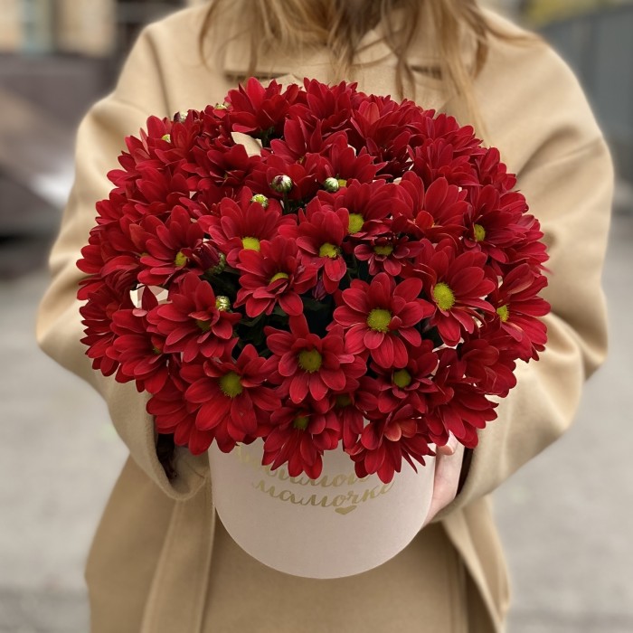 Коробка с бордовыми хризантемами Любимой Мамочке