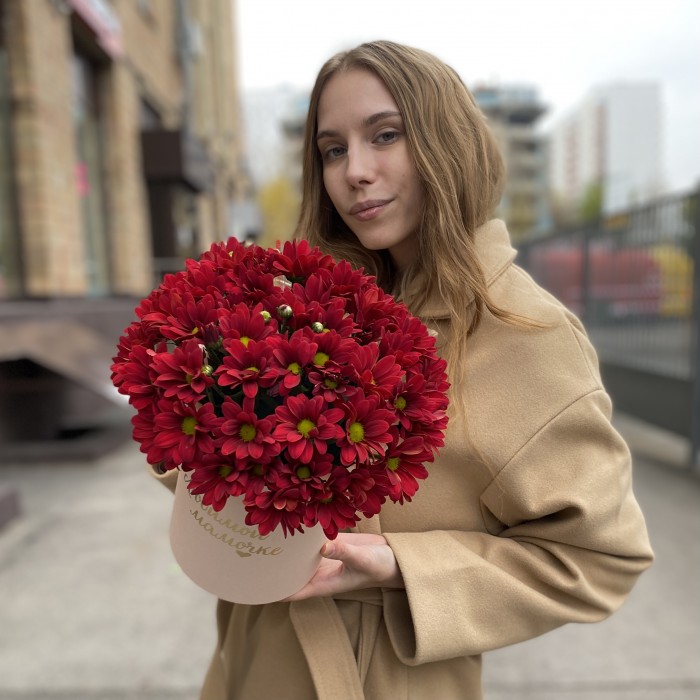 Коробка с бордовыми хризантемами Любимой Мамочке