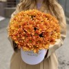 Коробка с оранжевыми хризантемами Любимой Мамочке
