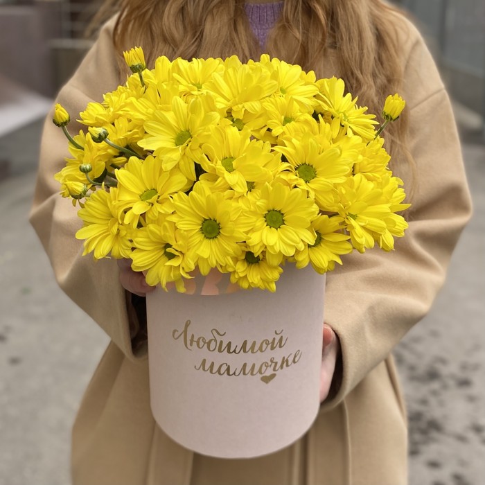 Коробка с желтыми хризантемами Любимой Мамочке