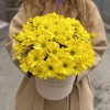 Коробка с желтыми хризантемами Любимой Мамочке