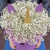 Коробка Единорог с белой гипсофилой