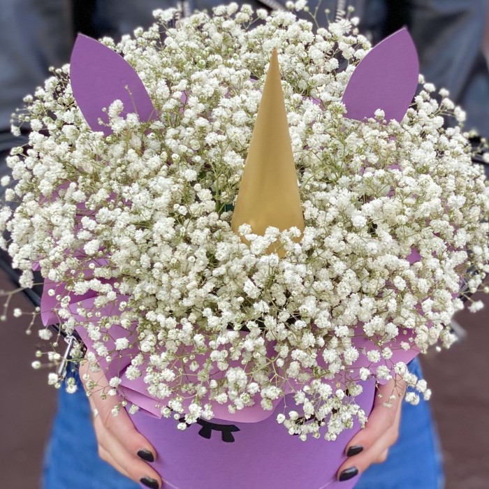 Коробка Единорог с белой гипсофилой