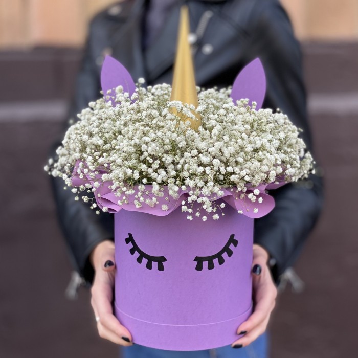 Коробка Единорог с белой гипсофилой