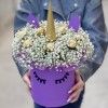 Коробка Единорог с белой гипсофилой и конфетами