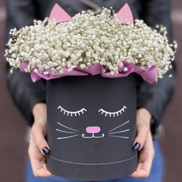 Коробка Кошечка с белой гипсофилой