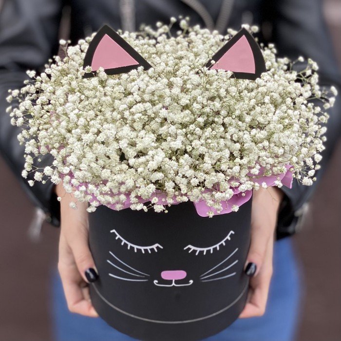 Коробка Кошечка с белой гипсофилой