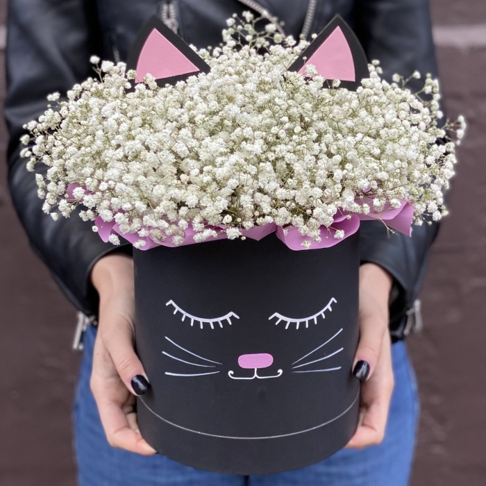 Коробка Кошечка с белой гипсофилой