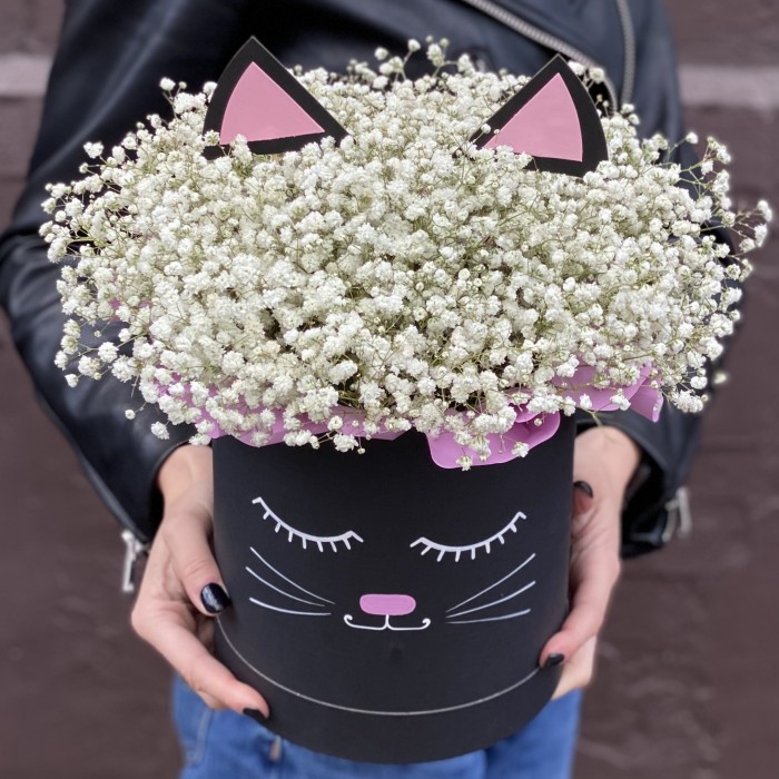 Коробка Кошечка с белой гипсофилой