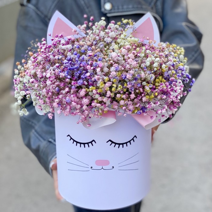 Коробка Кошечка с воздушной гипсофилой