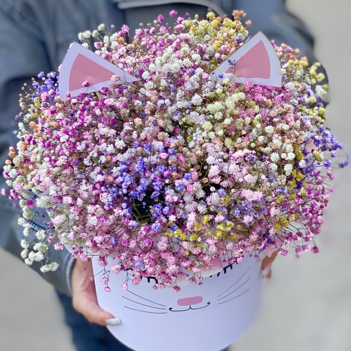 Коробка Кошечка с воздушной гипсофилой