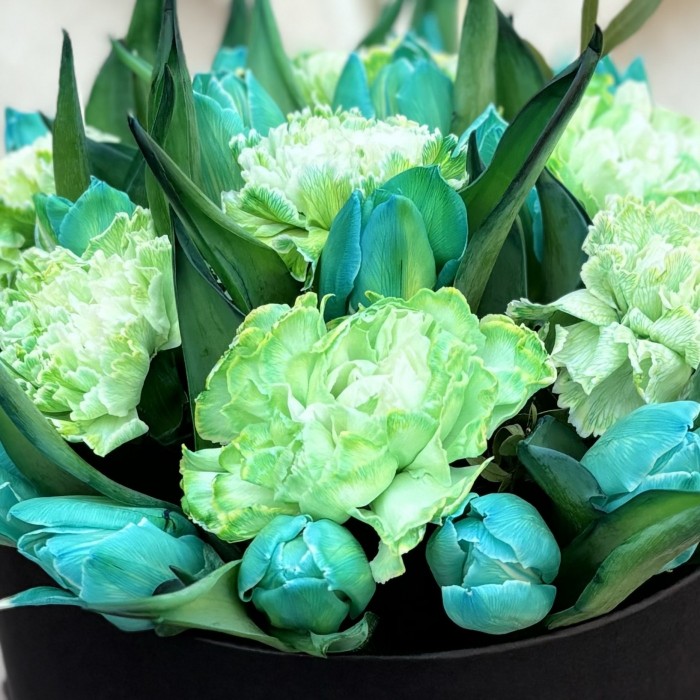 Коробка с 15 бирюзовыми тюльпанами и диантусами