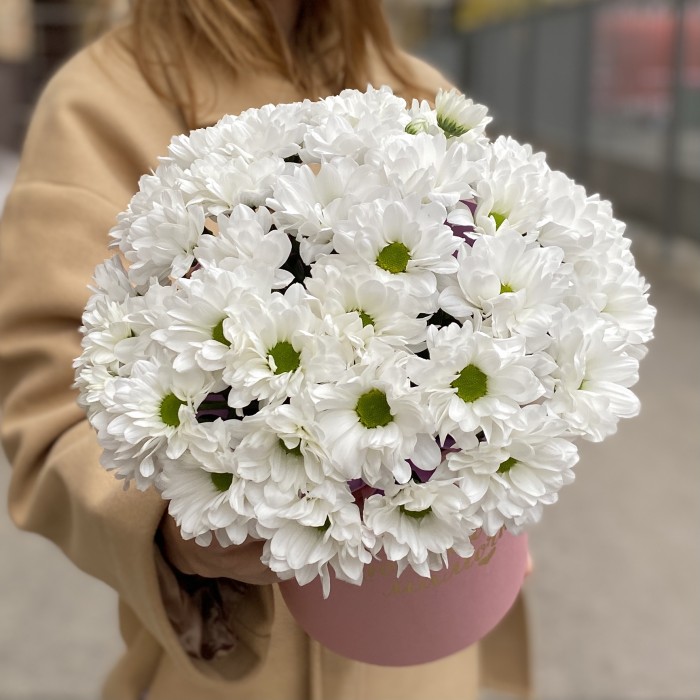 Коробка с белыми хризантемами Любимой Мамочке