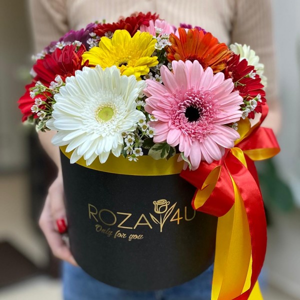 Коробка с герберами Микс