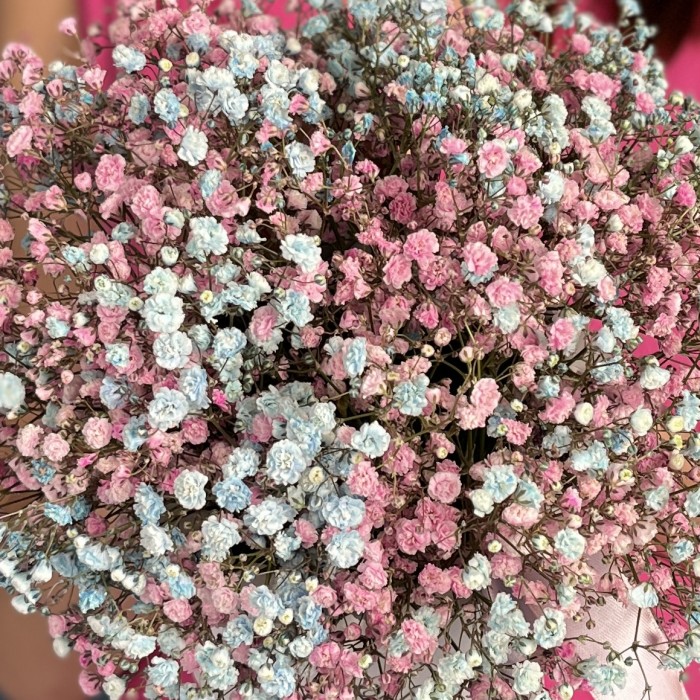 Коробочка нежных гипсофил на Гендер Пати