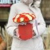 Коробочка с яркими кустовыми розами