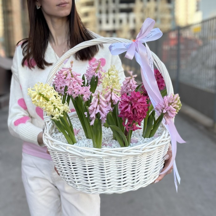 Корзина с гиацинтами микс