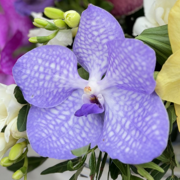 Корзина с орхидеями Лето на Гавайях