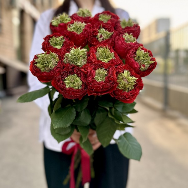 Красная роза Ред Монстер 50 см