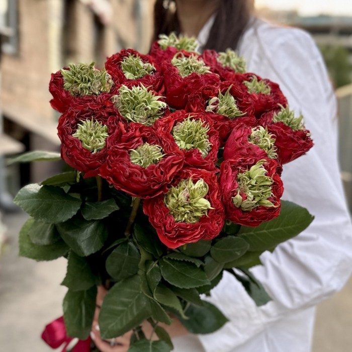 Красная роза Ред Монстер 50 см