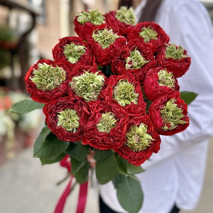 Красная роза Ред Монстер 50 см