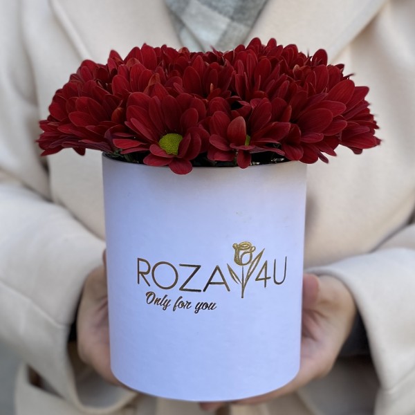 Красные кустовые хризантемы в коробке