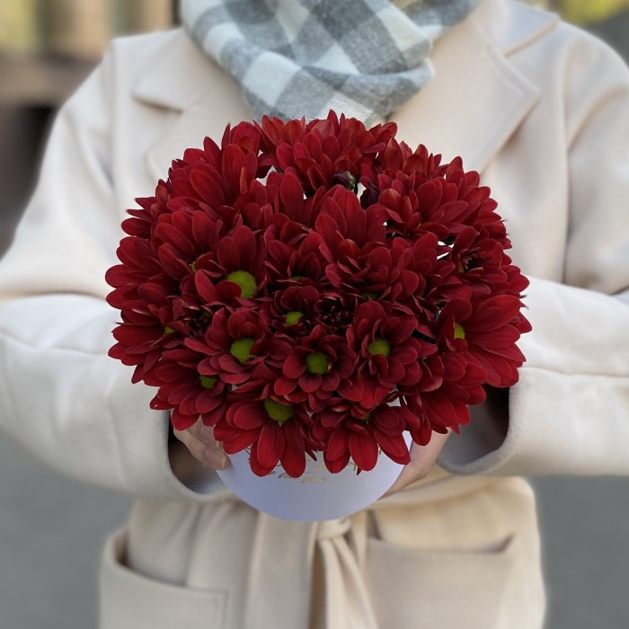 Красные кустовые хризантемы в коробке