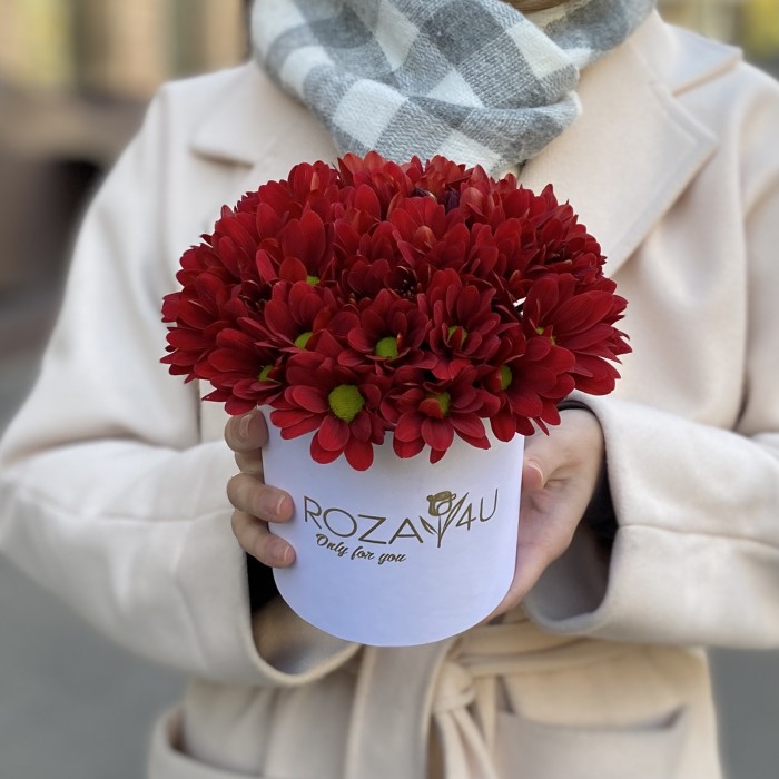 Красные кустовые хризантемы в коробке