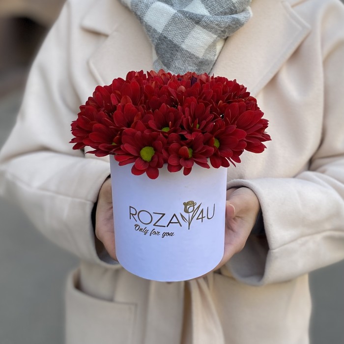 Красные кустовые хризантемы в коробке