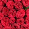 Красные пионовидные розы Ред Пиано  50 см
