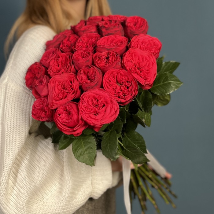 Красные пионовидные розы Ред Пиано  50 см