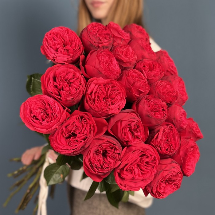 Красные пионовидные розы Ред Пиано  60 см