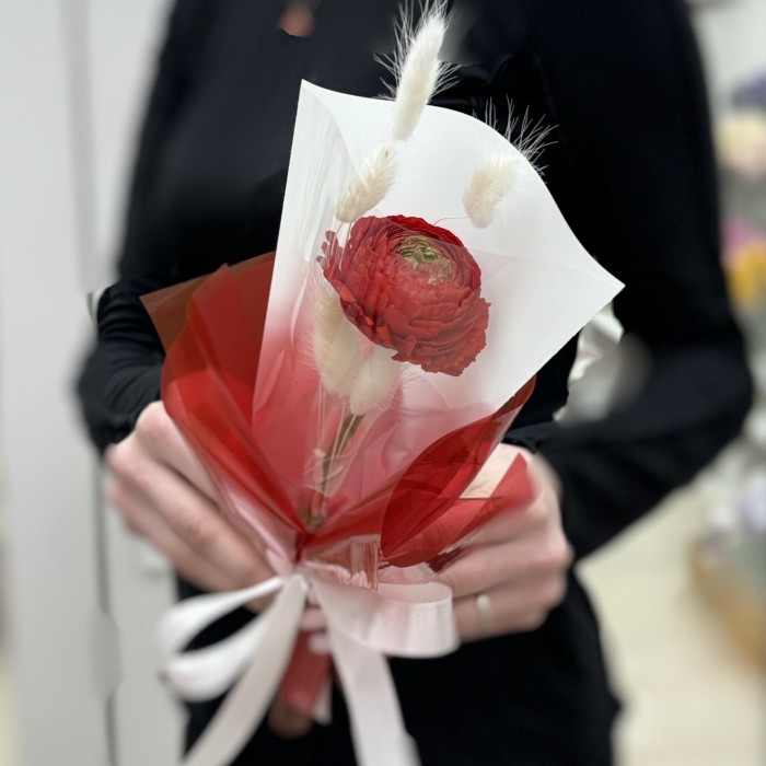 Красный ранункулюс в упаковке
