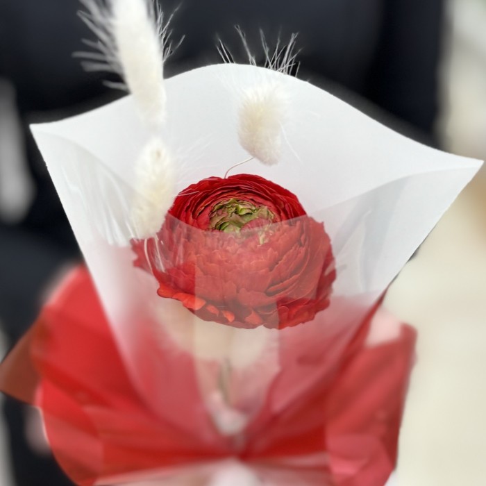 Красный ранункулюс в упаковке