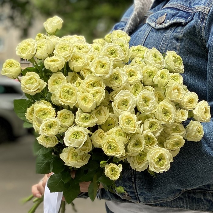 Кустовая пионовидная роза Эмеральд Квин