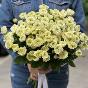 Кустовая пионовидная роза Эмеральд Квин