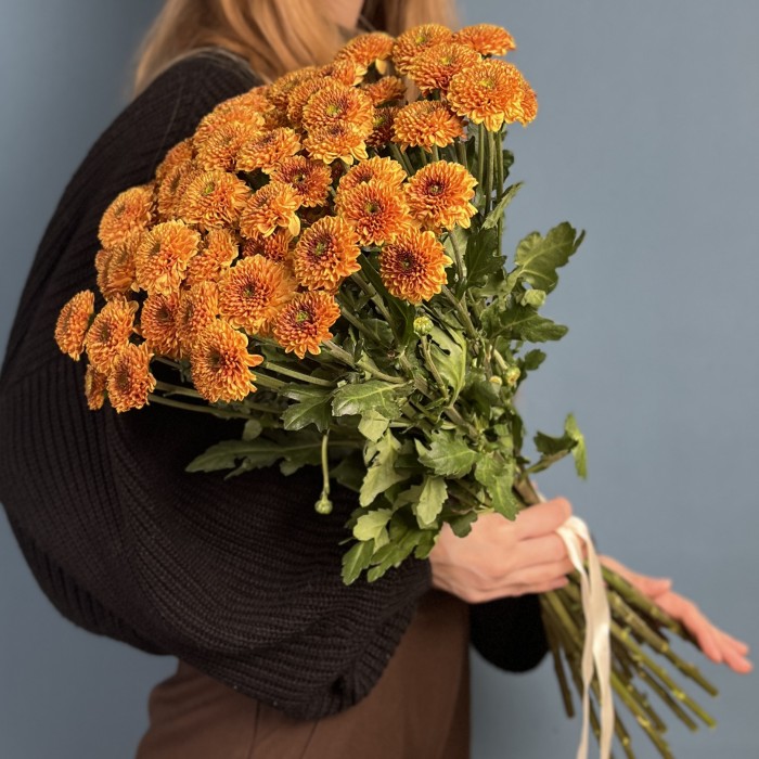 Кустовая хризантема Дориа Оранж