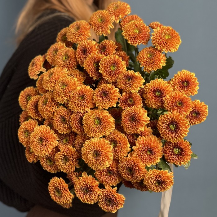 Кустовая хризантема Дориа Оранж